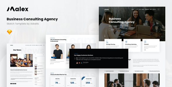 Malex – Business Consulting Agency Sketch Template
