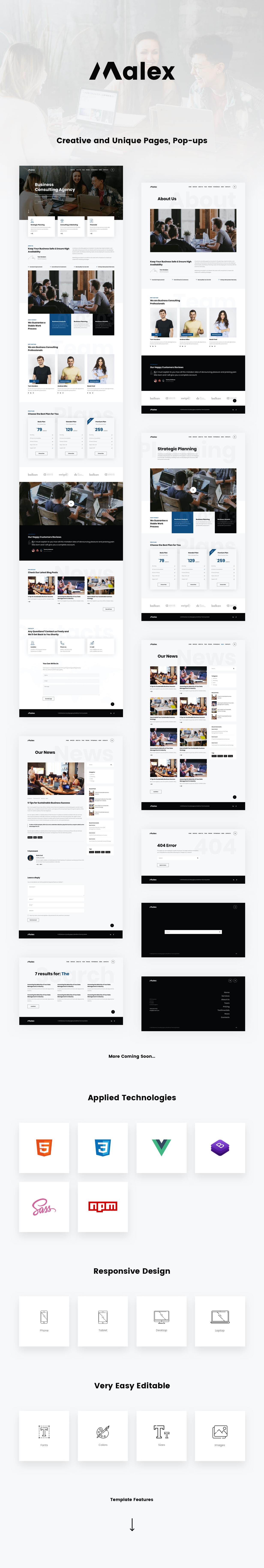 Malex Vue JS Presentation
